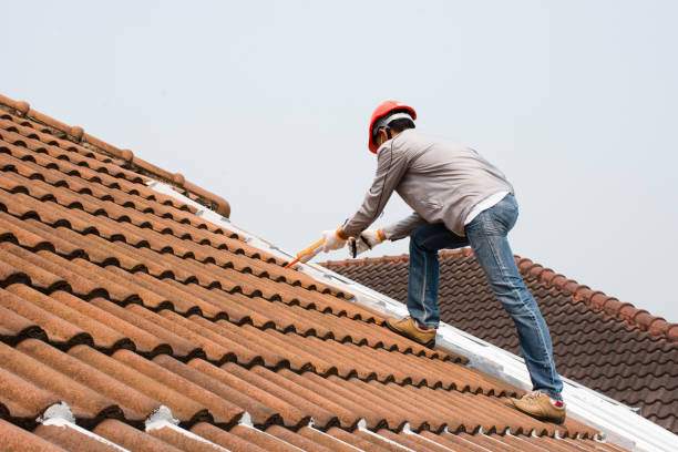 Best Roof Leak Repair  in Sheridan, WY